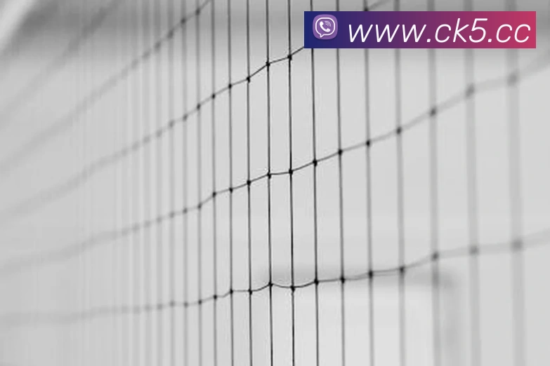 App Interface Preview